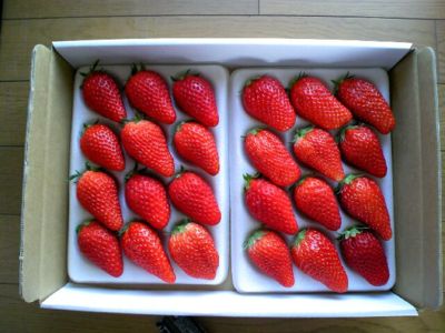 園内では直売のいちごを購入することができる