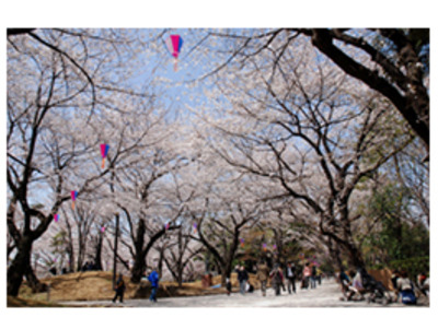 飛鳥山公園