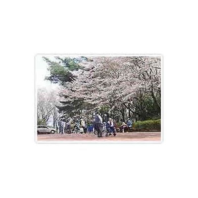 ふるさと公園若神子城址