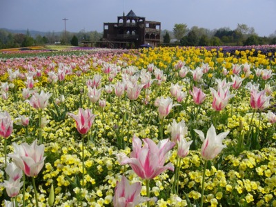 春から秋にかけて約70種類の花が咲き競う