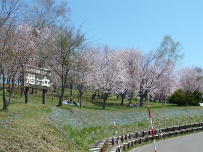 旭ヶ丘公園
