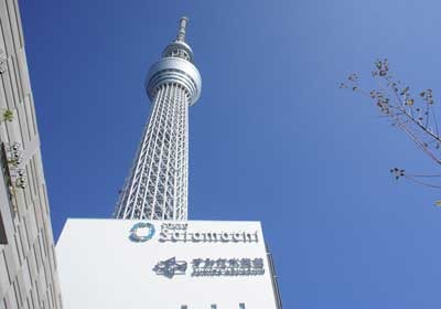 間近で見るスカイツリーは迫力満点