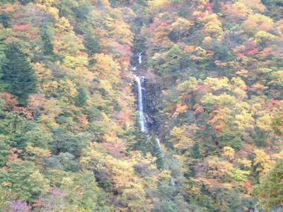 蛇王の滝の紅葉