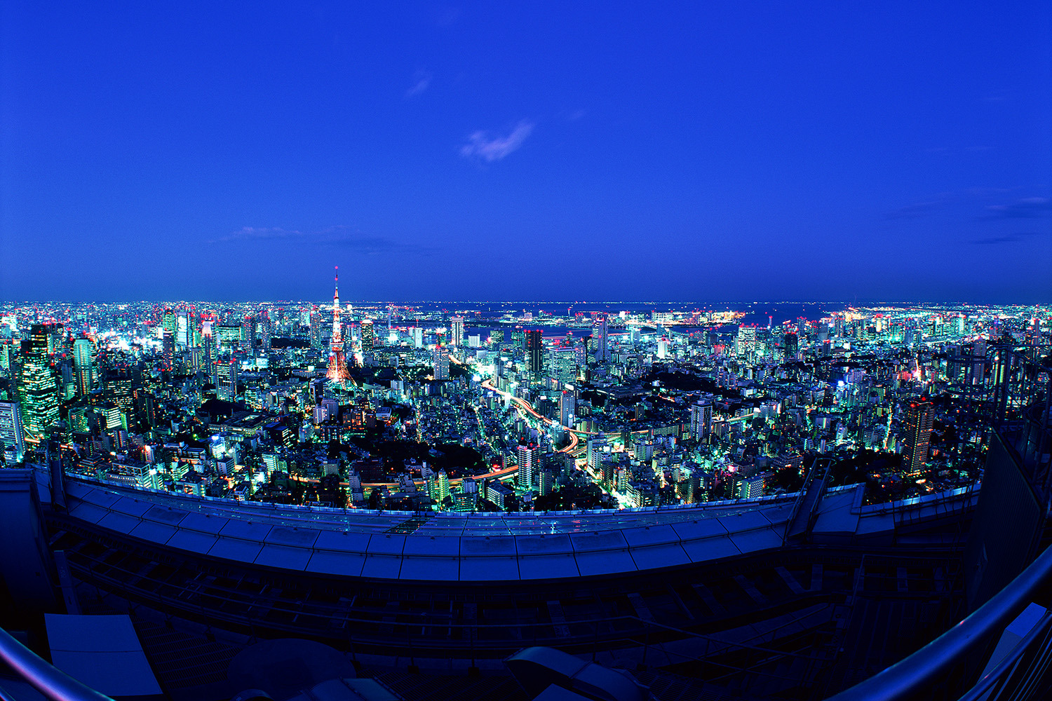 東京タワーと晴海方面を望む