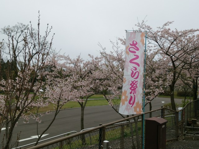 えぼし桜まつり