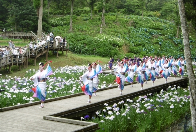 第13回西の久保公園天草花しょうぶ祭り&食と物産大バザール