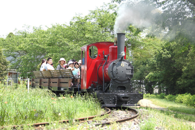 本物のSL(蒸気機関車)運行