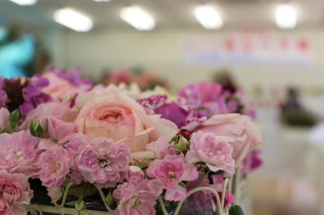 茨城県植物園 春のバラ展