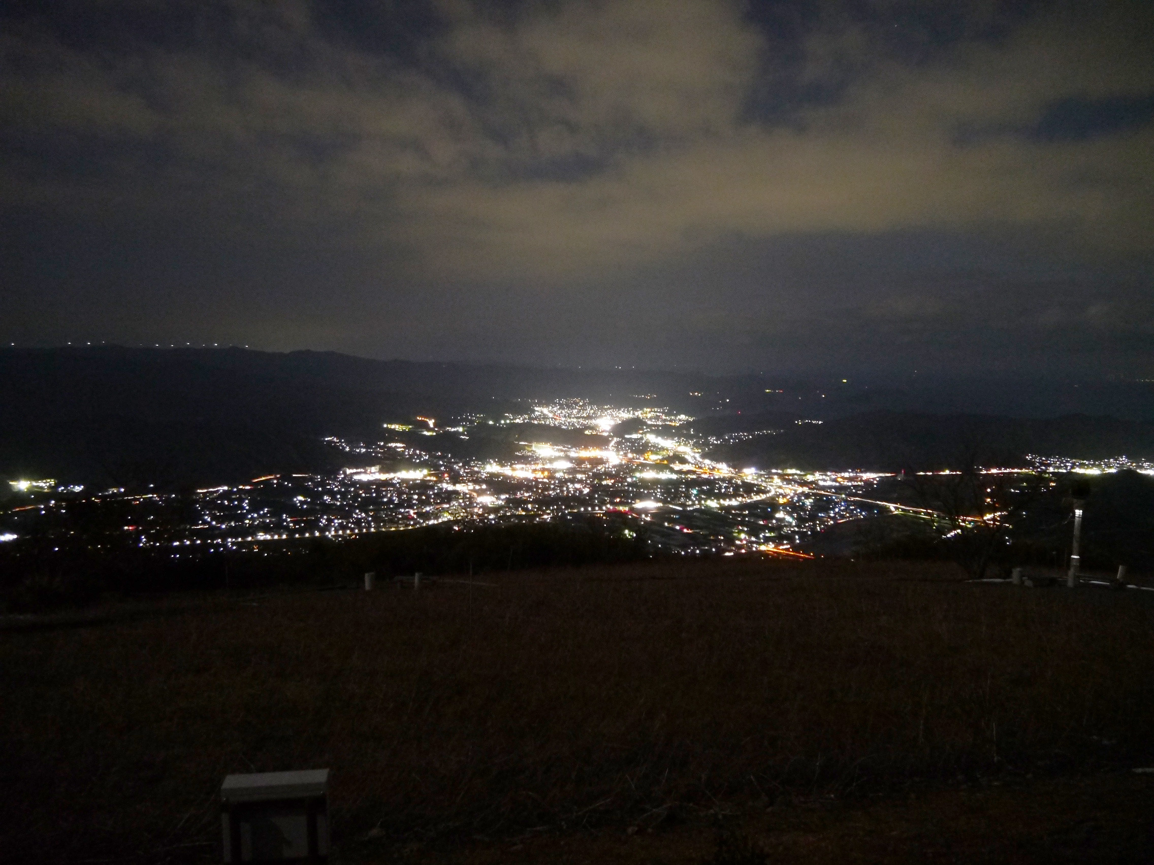 コスモスの向こうに有田平野の夜景と夕日に染まる紀伊水道が見える