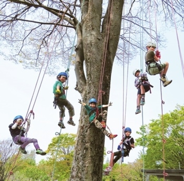 木登り体験「ツリーイング」