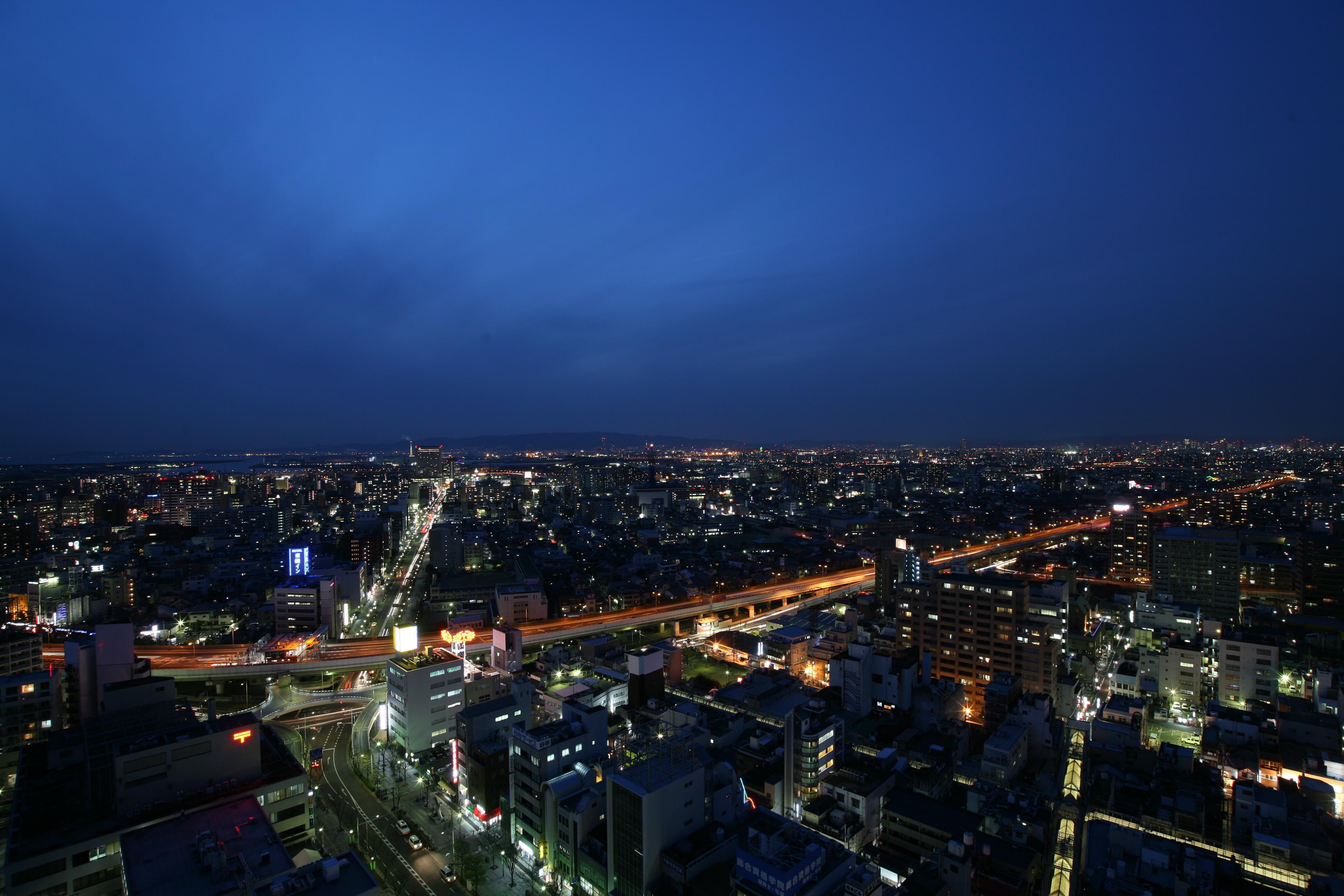 阪神高速堺線と堺の街の夜景を眼下に見る