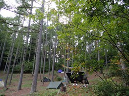 広大な森林の中でキャンプを楽しむことができる