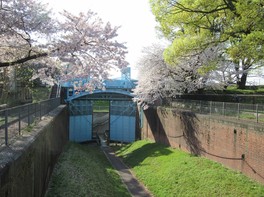 春には桜を見ながら公園の散策も