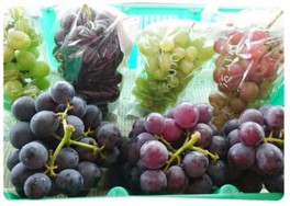 約25種類ものブドウを栽培し、シーズンを通して豊富な品ぞろえ