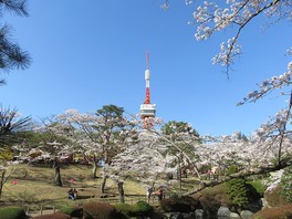 高さ30メートルの展望台から富士山やスカイツリーが見えることもある
