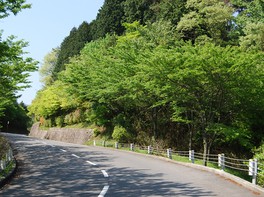 比叡山の自然と共に歩む 安全で快適な観光道路