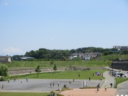 今田遊水地の草の広場では様々な運動や散策ができる