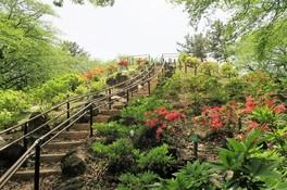 箱根山には園路が整備され、散策しながら季節とともに移りゆく風景を楽しめる