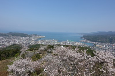 シーズンになると桜と海との絶景が楽しめる