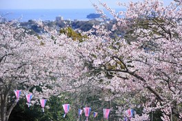 「日本さくら名所100選」に選出されている桜の名所