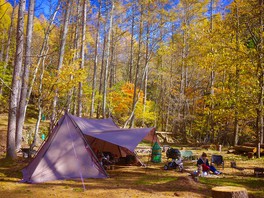 森の中でのキャンプは格別