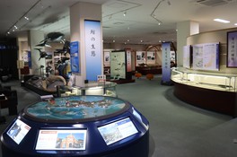 捕鯨やクジラの生態から日本遺産、世界遺産まで幅広く紹介している
