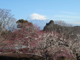 展望台からは雄大な富士山を眺望できる