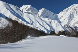 長い歴史を持つ名門スキー場