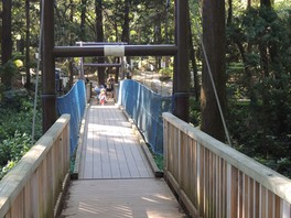 自然の森をいかした公園。揺れるつり橋も楽しめる