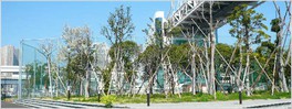 レインボーブリッジの下から東京港を眺めることができる公園