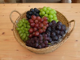 黒系、赤系、白系すべてのブドウが栽培されている