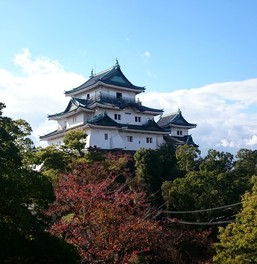 和歌山城を眺めながら散策も楽しめる