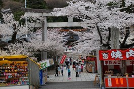 春には桜見物に多くの人が訪れる桜の名所として知られる