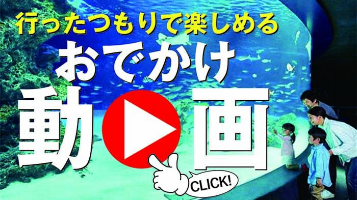 おでかけ先を動画でしっかりリサーチしよう！