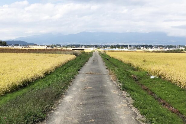 Z世代の「地方いじり」の実態