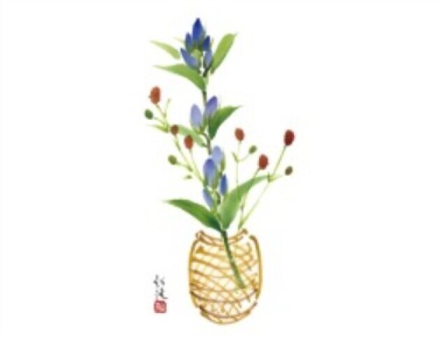 趣ある夏の 和のイラスト R 講座 りんどうと吾亦紅の情報 ウォーカープラス