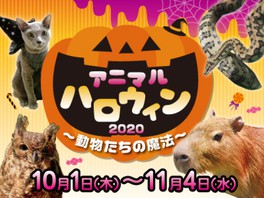 みなとみらい 神奈川県のイベント情報一覧 今日 12件 ウォーカープラス