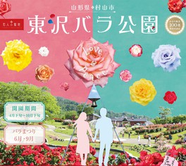東沢バラ公園を代表する色とりどりのバラが満開を迎える