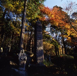 境内に点在する羅漢像と紅葉の景色
