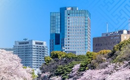 桜 見ごろ 外濠公園 東京都 の情報 ウォーカープラス