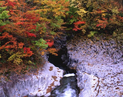 紅葉 見ごろ 中津川渓谷 福島県 の情報 ウォーカープラス