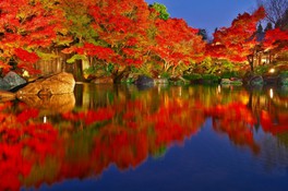 大池に映る錦色の紅葉が幽玄な世界を演出する