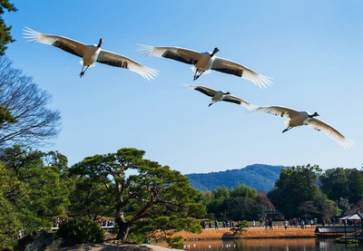 後楽園 初春祭 はつはるさい 岡山県 の情報 ウォーカープラス