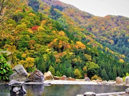 野天風呂から望む紅葉はまさに絶景