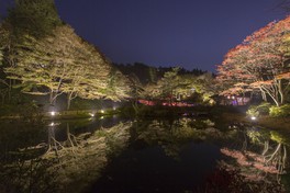 夜間にはライトアップも楽しめる