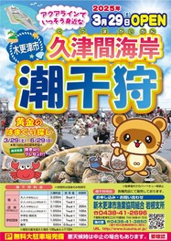 開催日・時間は公式サイトの潮見表を要確認