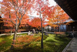 秋には境内が紅葉に彩られる