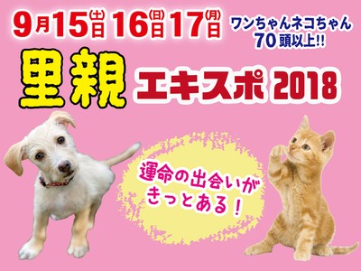 里親expo18 北海道 の情報 ウォーカープラス