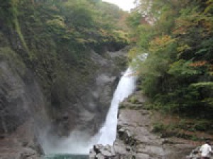 紅葉 見ごろ 秋保大滝 宮城県 の情報 ウォーカープラス