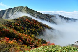 広大な山々が赤黄色に色づいていくさまは絶景